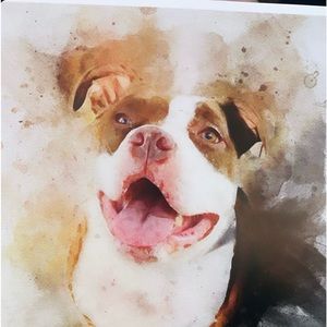 Meet your Posher, Cristina